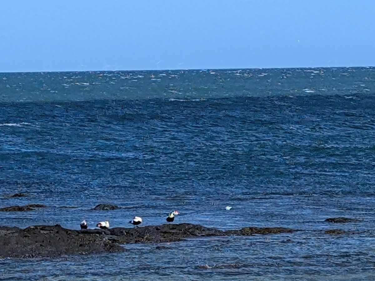 It’s a wet one… or the Night of the crimson&nbsp;surprise…